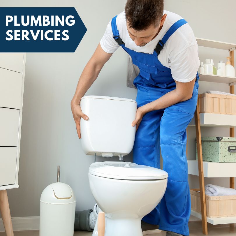 Plumbing Company in Mulliken, MI